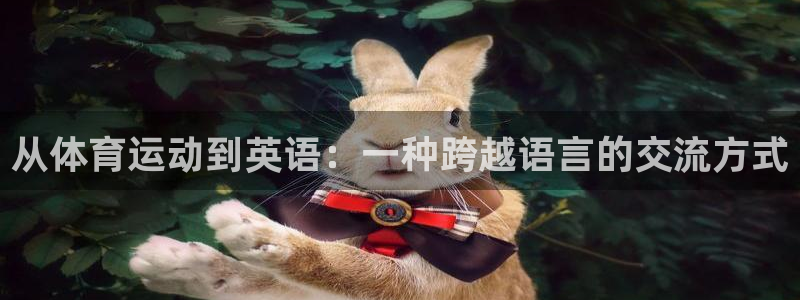 公海赌赌船官网下载:从体育运动到英语:一种跨越语言的交流方式